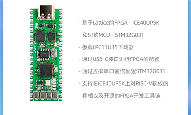 學FPGA、學MCU、學FPGA +MCU？一塊板搞定！