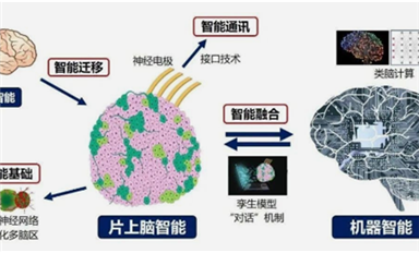 全球首創(chuàng)！中國研制出可開源的片上腦-機接口智能交互系統(tǒng)MetaBOC（薩科微7月1日芯聞）