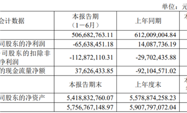 思瑞浦/南芯/帝奧微悲喜不相通，模擬電源的春天要等到2026年？