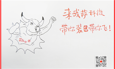活用經(jīng)濟(jì)學(xué)社會(huì)學(xué)管理學(xué)理論，帶動(dòng)薩科微和金航標(biāo)高速發(fā)展！