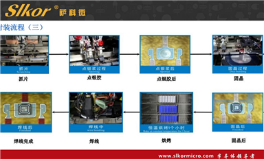 薩科微的主要市場方向？